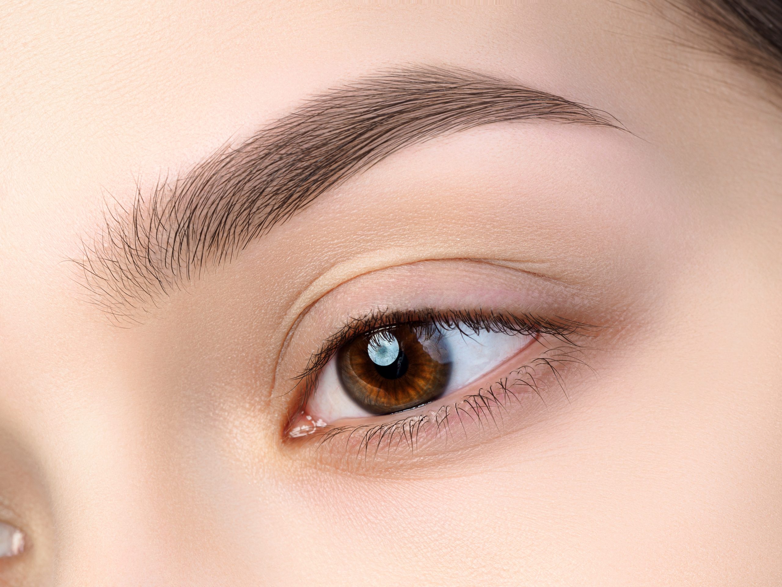 Close up view of beautiful brown female eye