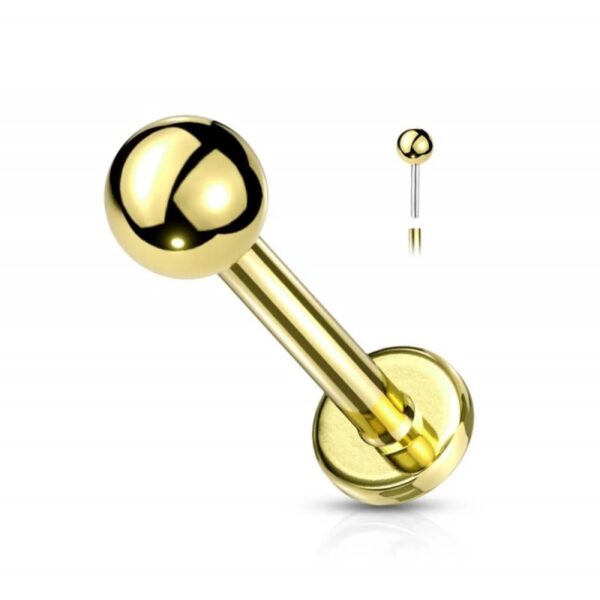 Titanium Goud Gekleurde Push Pin Labret 1.2 x 8 mm 1 stuk