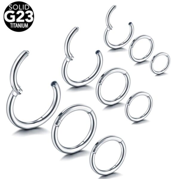 Segmentring met scharnier van titanium voor neuspiercing